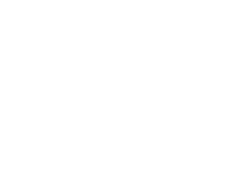light logo